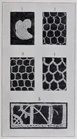 Picture 1 of 17 from Point and pillow lace : a short account of various kinds ancient and modern, and how to recognize them (1899), leaf 27
