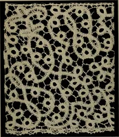 An illustration from Point and pillow lace; a short account of various kinds ancient and modern, and how to recognize them (1905)