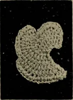 An illustration from Point and pillow lace; a short account of various kinds ancient and modern, and how to recognize them (1905)