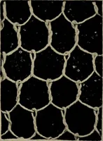 An illustration from Point and pillow lace; a short account of various kinds ancient and modern, and how to recognize them (1905)