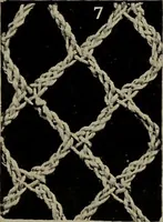 An illustration from Point and pillow lace; a short account of various kinds ancient and modern, and how to recognize them (1905)