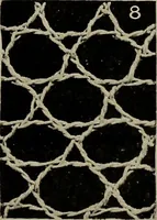 An illustration from Point and pillow lace; a short account of various kinds ancient and modern, and how to recognize them (1905)
