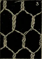 An illustration from Point and pillow lace; a short account of various kinds ancient and modern, and how to recognize them (1905)