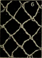 An illustration from Point and pillow lace; a short account of various kinds ancient and modern, and how to recognize them (1905)