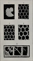 An illustration from Point and pillow lace : a short account of various kinds ancient and modern, and how to recognize them (1899)