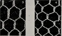 An illustration from Point and pillow lace : a short account of various kinds ancient and modern, and how to recognize them (1899)