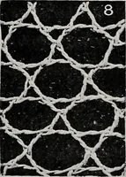 An illustration from Point and pillow lace : a short account of various kinds ancient and modern, and how to recognize them (1899)