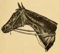 An illustration from Police gazette sporting annual .. (1918)