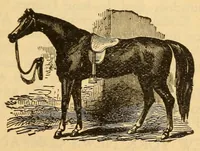An illustration from Police gazette sporting annual .. (1918)