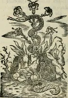 An illustration from Polifila, comedia piacevole... (1556)