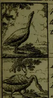 An illustration from A political and satirical history of the years 1756 and 1757 : in a series of seventy-five humorous and entertaining prints, containing all the most remarkable transactions, characters and caricaturas of those two memorable years, to which is annexed, an explanatory account or key to every print, which renders the whole full and significant (1758)