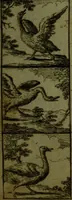 An illustration from A political and satirical history of the years 1756 and 1757 : in a series of seventy-five humorous and entertaining prints, containing all the most remarkable transactions, characters and caricaturas of those two memorable years, to which is annexed, an explanatory account or key to every print, which renders the whole full and significant (1758)