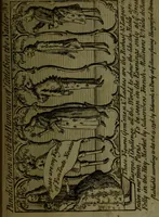 An illustration from A political and satirical history of the years 1756 and 1757 : in a series of seventy-five humorous and entertaining prints, containing all the most remarkable transactions, characters and caricaturas of those two memorable years, to which is annexed, an explanatory account or key to every print, which renders the whole full and significant (1758)