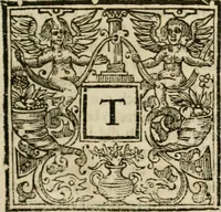 An illustration from Politick discourses; (1657)