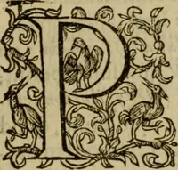 An illustration from Ivsti LipsI Politicorvm, sive, Civilis doctrinae libri sex : qui ad principatum maximè spectant : additae notae auctiores, tum & De vna religione liber (1604)