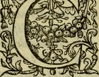 An illustration from Ivsti LipsI Politicorvm, sive, Civilis doctrinae libri sex : qui ad principatum maximè spectant : additae notae auctiores, tum & De vna religione liber (1604)