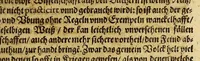 An illustration from Politische Schatzcammer oder Form zu regieren, : das ist: Ausserlesene schöne Discurs Relationes, Instructiones kayserlicher, königlicher Ambassiatorn vnd Bottschafften, oder Historische, Königlicher Ambassiatorn vnd Bottschafften oder historische, politische Erzehlungen vnd Rahtschläge vieler Königreichen, geistlicher vnd weltlicher Stände, ihre Wahl, Regimenten, Bündnuss, Heimligkeiten, so wol wegen derer Administration, Conseruation, als auch Æraria vnd Einkommen, zu Kriegs vnd Friedenszeiten, belanget: (1618)