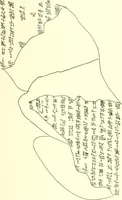 Picture 28 of 88 from Politisch-religiöse Texte aus der Sargonidenzeit. Hrsg. von Ernst George Klauber (1913), leaf 296