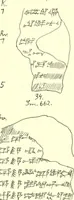 An illustration from Politisch-religiöse Texte aus der Sargonidenzeit. Hrsg. von Ernst George Klauber (1913)