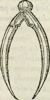 An illustration from M. Vitrvvii Pollionis De architectvra libri decem ad Caesarem Avgvstvm : omnibus omnium editionibus longè emendatiores, collatis veteribus exemplis : accesservnt Gulielmi Philandri Castilionii, ciuis Romani, annotationes castigatiores, & plus tertia parte locupletiores : adiecta est Epitome in omnes Georgij Agricolae De mensuris & ponderibus libros, eodem avtore : cum Graeco pariter & Latino indice locupletissimo (1552)