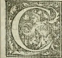 An illustration from M. Vitrvvii Pollionis De architectvra libri decem ad Caesarem Avgvstvm : omnibus omnium editionibus longè emendatiores, collatis veteribus exemplis : accesservnt Gulielmi Philandri Castilionii, ciuis Romani, annotationes castigatiores, & plus tertia parte locupletiores : adiecta est Epitome in omnes Georgij Agricolae De mensuris & ponderibus libros, eodem avtore : cum Graeco pariter & Latino indice locupletissimo (1552)