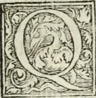 An illustration from M. Vitrvvii Pollionis De architectvra libri decem ad Caesarem Avgvstvm : omnibus omnium editionibus longè emendatiores, collatis veteribus exemplis : accesservnt Gulielmi Philandri Castilionii, ciuis Romani, annotationes castigatiores, & plus tertia parte locupletiores : adiecta est Epitome in omnes Georgij Agricolae De mensuris & ponderibus libros, eodem avtore : cum Graeco pariter & Latino indice locupletissimo (1552)