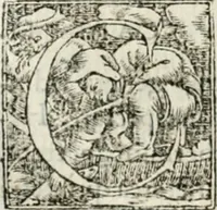 An illustration from M. Vitrvvii Pollionis De architectvra libri decem ad Caesarem Avgvstvm : omnibus omnium editionibus longè emendatiores, collatis veteribus exemplis : accesservnt Gulielmi Philandri Castilionii, ciuis Romani, annotationes castigatiores, & plus tertia parte locupletiores : adiecta est Epitome in omnes Georgij Agricolae De mensuris & ponderibus libros, eodem avtore : cum Graeco pariter & Latino indice locupletissimo (1552)