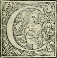 An illustration from M. Vitrvvii Pollionis De architectvra libri decem ad Caesarem Avgvstvm : omnibus omnium editionibus longè emendatiores, collatis veteribus exemplis : accesservnt Gulielmi Philandri Castilionii, ciuis Romani, annotationes castigatiores, & plus tertia parte locupletiores : adiecta est Epitome in omnes Georgij Agricolae De mensuris & ponderibus libros, eodem avtore : cum Graeco pariter & Latino indice locupletissimo (1552)
