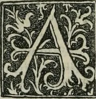 An illustration from Polybii historici primo bellp punico Leonardo Aretino interprete, libri tres. Leonardi Aretini De temporibus suis, liber vnus. Plutarchi Parallelia Guarino Veronensi paraphraste opusculum aureum (1512)