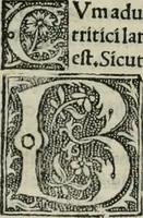 An illustration from Polybii historici primo bellp punico Leonardo Aretino interprete, libri tres. Leonardi Aretini De temporibus suis, liber vnus. Plutarchi Parallelia Guarino Veronensi paraphraste opusculum aureum (1512)