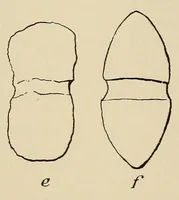 An illustration from Polychrome guanaco cloaks of Patagonia (1929)