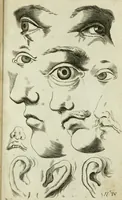An illustration from Polygraphice, or, The arts of drawing, engraving, etching, limning, painting, vernishing, japaning, gilding, &c. : in two volumes ... (1701)