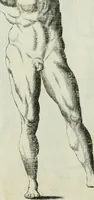 An illustration from Polygraphice, or, The arts of drawing, engraving, etching, limning, painting, vernishing, japaning, gilding, &c. : in two volumes ... (1701)