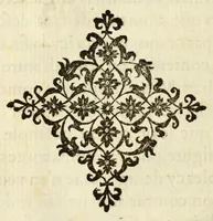 Picture 26 of 40 from Polygraphie et vniuerselle escriture cabalistique (1561), leaf 556