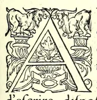 Picture 17 of 35 from Polygraphie, et vniuerselle escriture cabalistique (1561), leaf 473