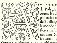 An illustration from Polygraphie, et vniuerselle escriture cabalistique (1561)