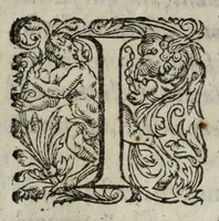 An illustration from Pompa feralis, siue, Iusta funebria Petri Morestelli .. (1621)