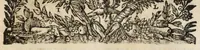 An illustration from Pompa feralis, siue, Iusta funebria Petri Morestelli .. (1621)