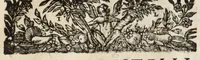 An illustration from Pompa feralis, siue, Iusta funebria Petri Morestelli .. (1621)