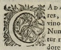 An illustration from Pompa feralis, siue, Iusta funebria Petri Morestelli .. (1621)