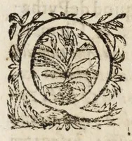 An illustration from Pompa feralis, siue, Iusta funebria Petri Morestelli .. (1621)