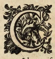 Picture 4 of 13 from Pompa feralis, siue, Iusta funebria Petri Morestelli .. (1621), leaf 29