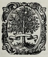 Picture 1 of 45 from Pompe funerali celebrate in Napoli per l'eccellentissima signora d. Caterina d'Aragona, e Sandovale, duchessa di Segorbia , Cardona, &c. : con l'aggiunta di altri componimenti intorno al medesimo soggetto : dedicate all'ecellentissimo suo figlio d. Luigi della Cerda, duca di Medina-Celi, &c., vicerè e capitan generale nel regno di Napoli (1697), leaf 73