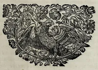 Picture 2 of 45 from Pompe funerali celebrate in Napoli per l'eccellentissima signora d. Caterina d'Aragona, e Sandovale, duchessa di Segorbia , Cardona, &c. : con l'aggiunta di altri componimenti intorno al medesimo soggetto : dedicate all'ecellentissimo suo figlio d. Luigi della Cerda, duca di Medina-Celi, &c., vicerè e capitan generale nel regno di Napoli (1697), leaf 85