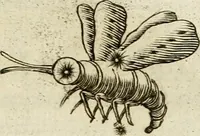 An illustration from Pompe fvnebri dell'vniverso : nella morte di Filippo qvarto il grande re delle Spagne, monarca cattolico, celebrate in Napoli alli XVIII. di febraro MDCLXVI dall'eminentissimo signore don Pascale Aragona ... (1666)