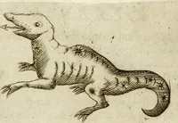 An illustration from Pompe fvnebri dell'vniverso : nella morte di Filippo qvarto il grande re delle Spagne, monarca cattolico, celebrate in Napoli alli XVIII. di febraro MDCLXVI dall'eminentissimo signore don Pascale Aragona ... (1666)
