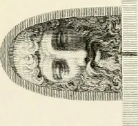 An illustration from Pompeiana : the topography, edifices, and ornaments of Pompeii (1817)
