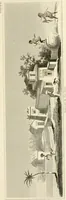 An illustration from Pompeiana : the topography, edifices, and ornaments of Pompeii (1817)