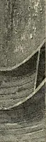 An illustration from Pompeiana : the topography, edifices, and ornaments of Pompeii (1817)
