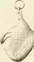 Picture 37 of 66 from Pompeiana : the topography, edifices, and ornaments of Pompeii (1824), leaf 157